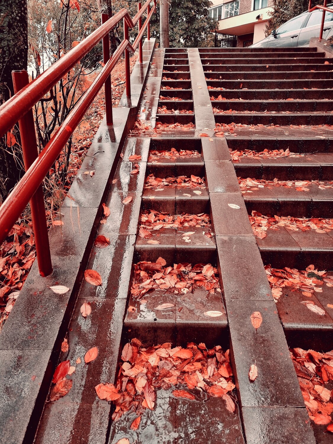 Фотография #14109763