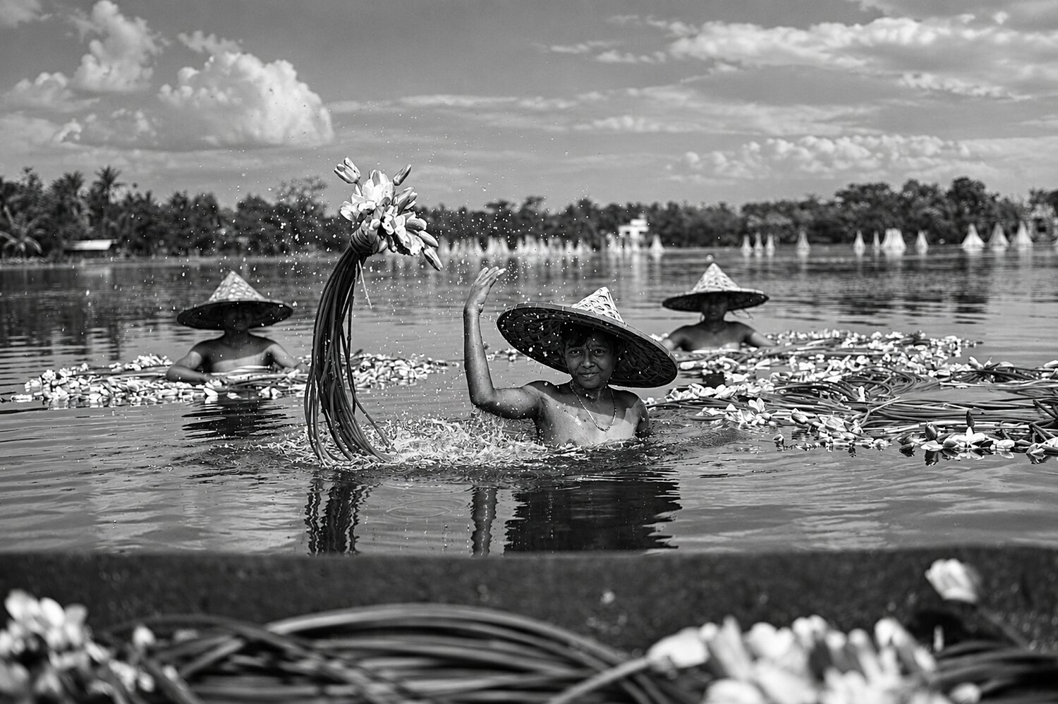 Photo #14109782