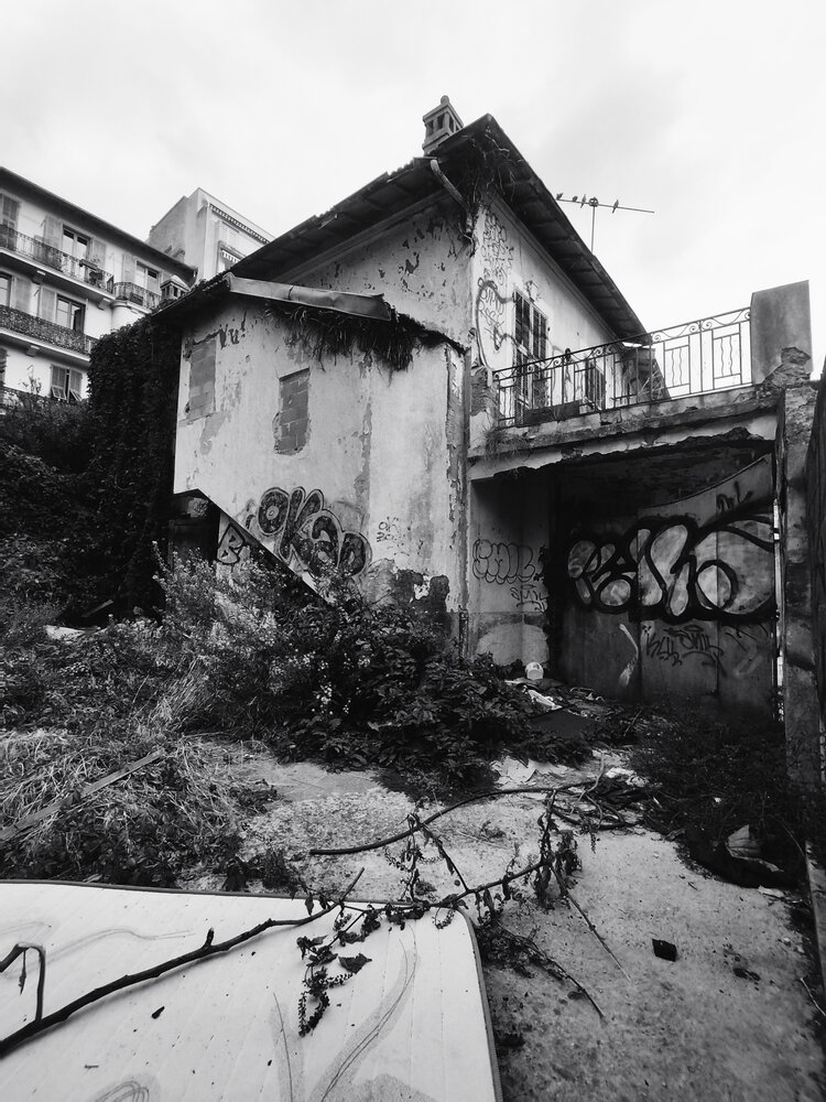 Photo #14110050