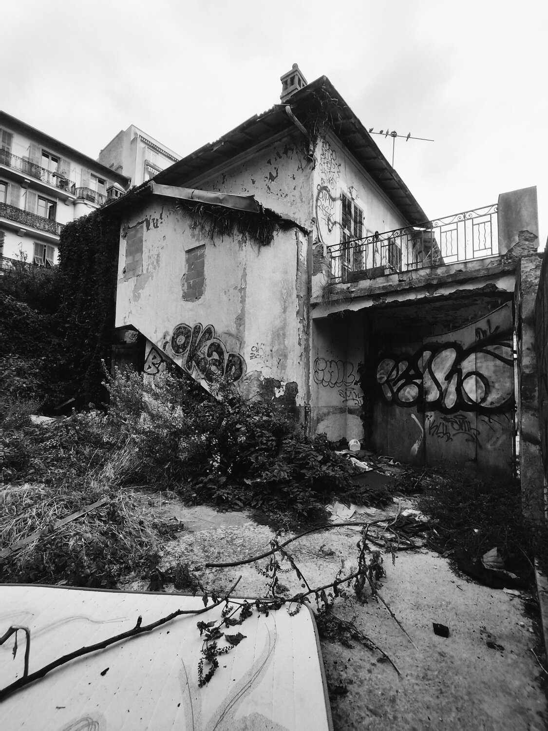 Photo #14110050