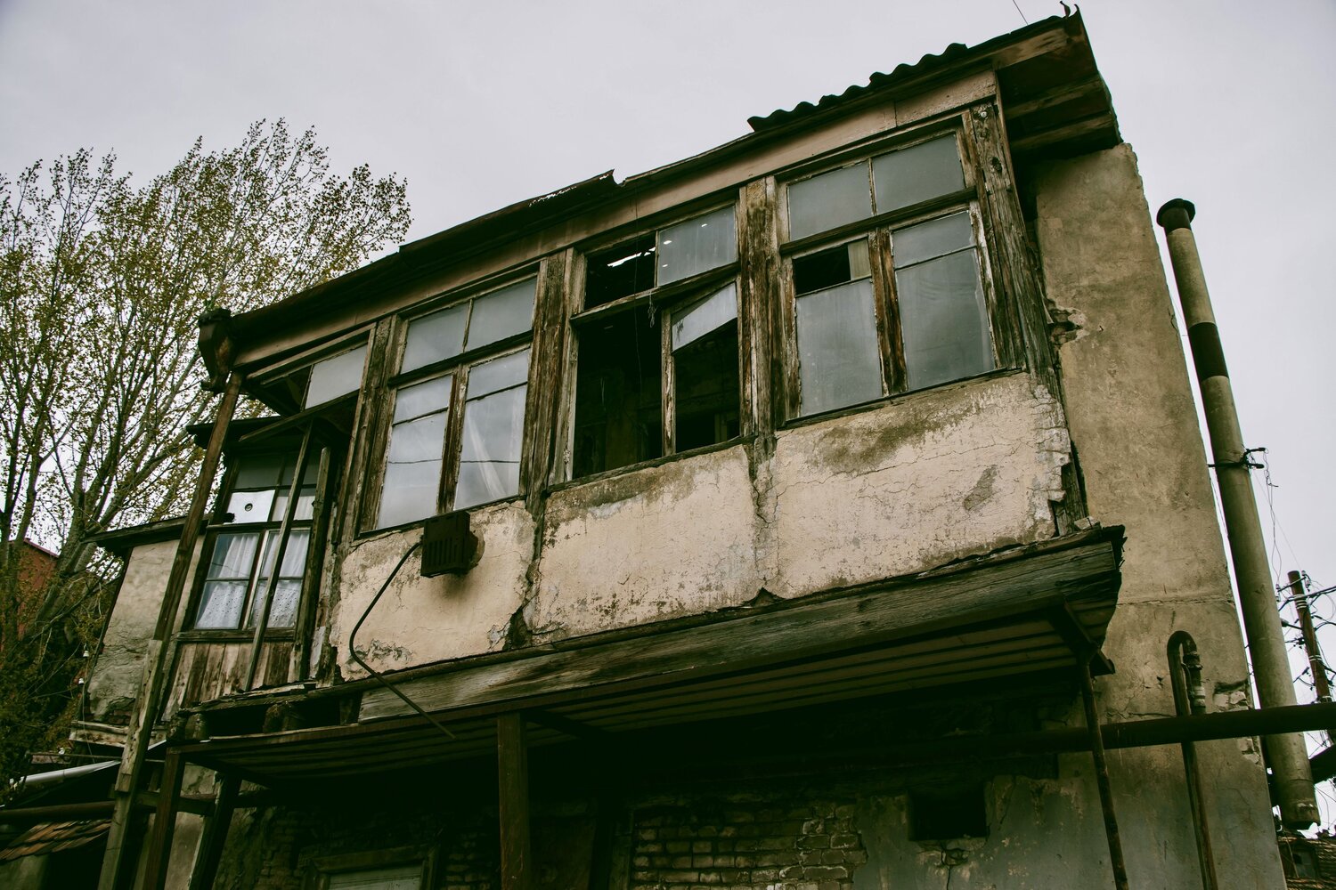 Photo #14110062