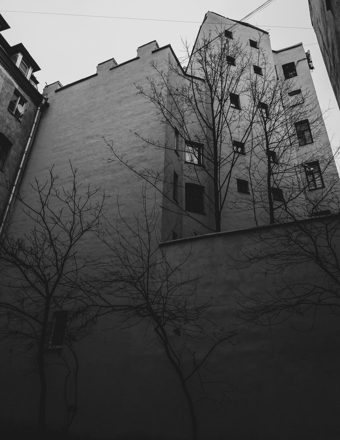 Фотография #14110165