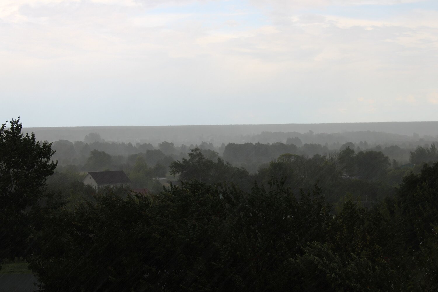 Photo #14110169