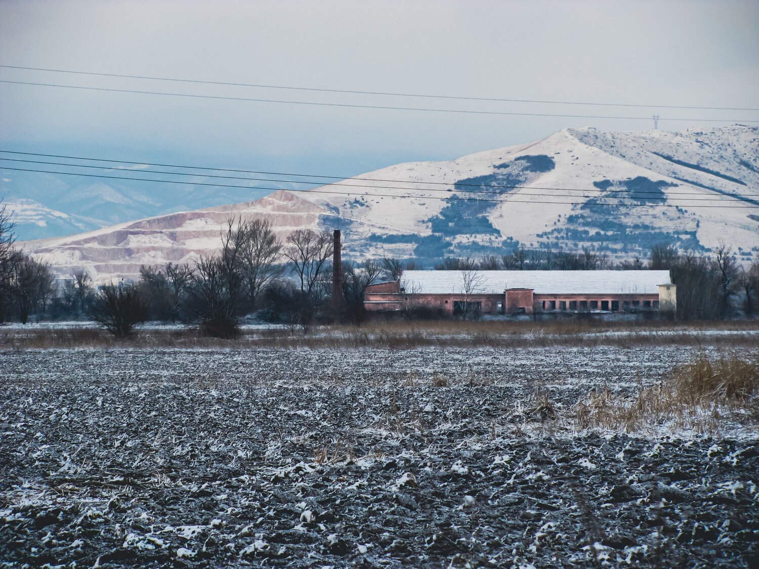 Photo #14110248