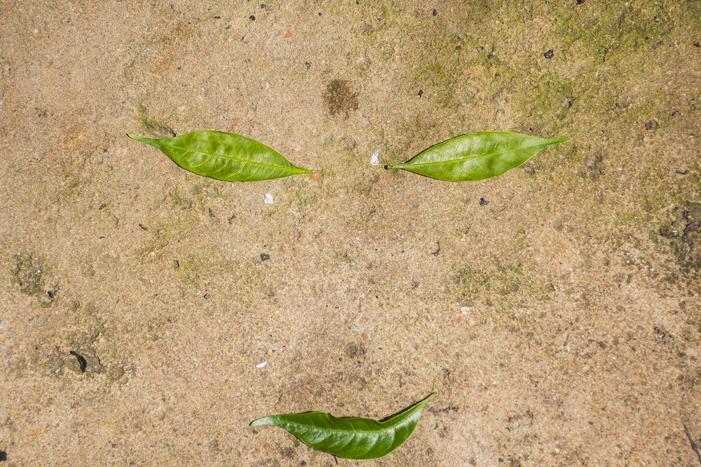 Photograph by Saikat Singha