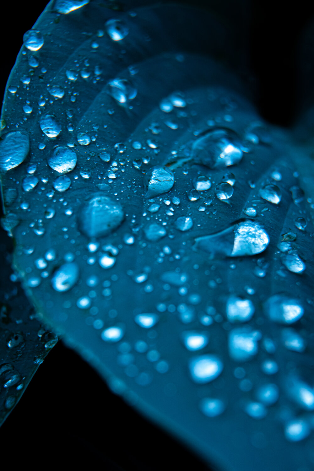 Photo #14110328