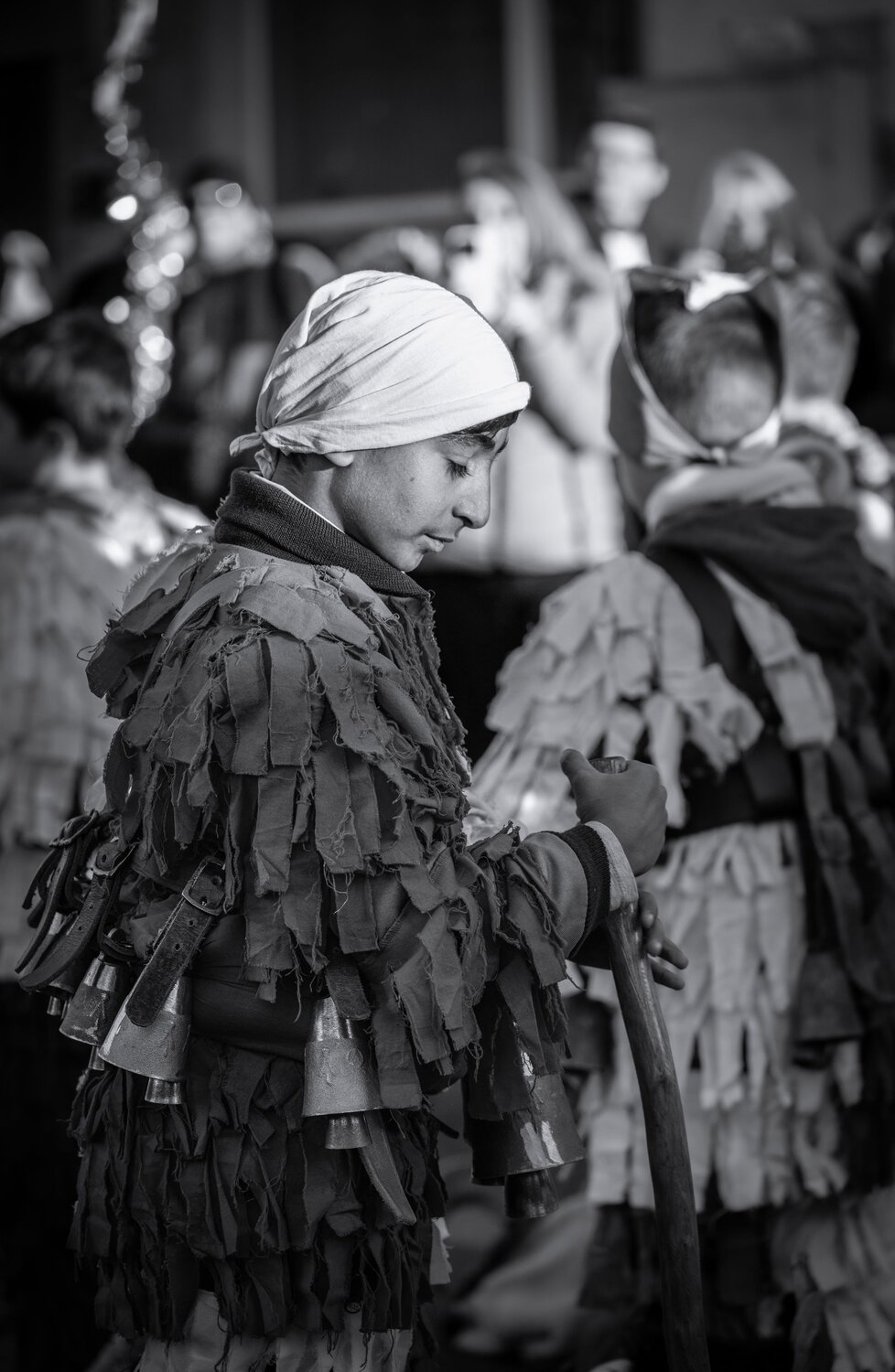 Photo #14110347