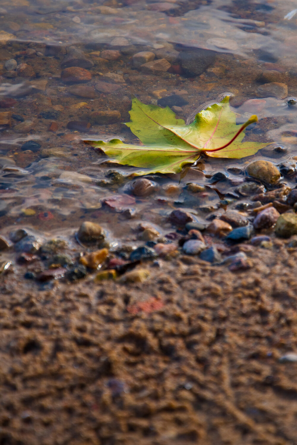 Photo #14110359