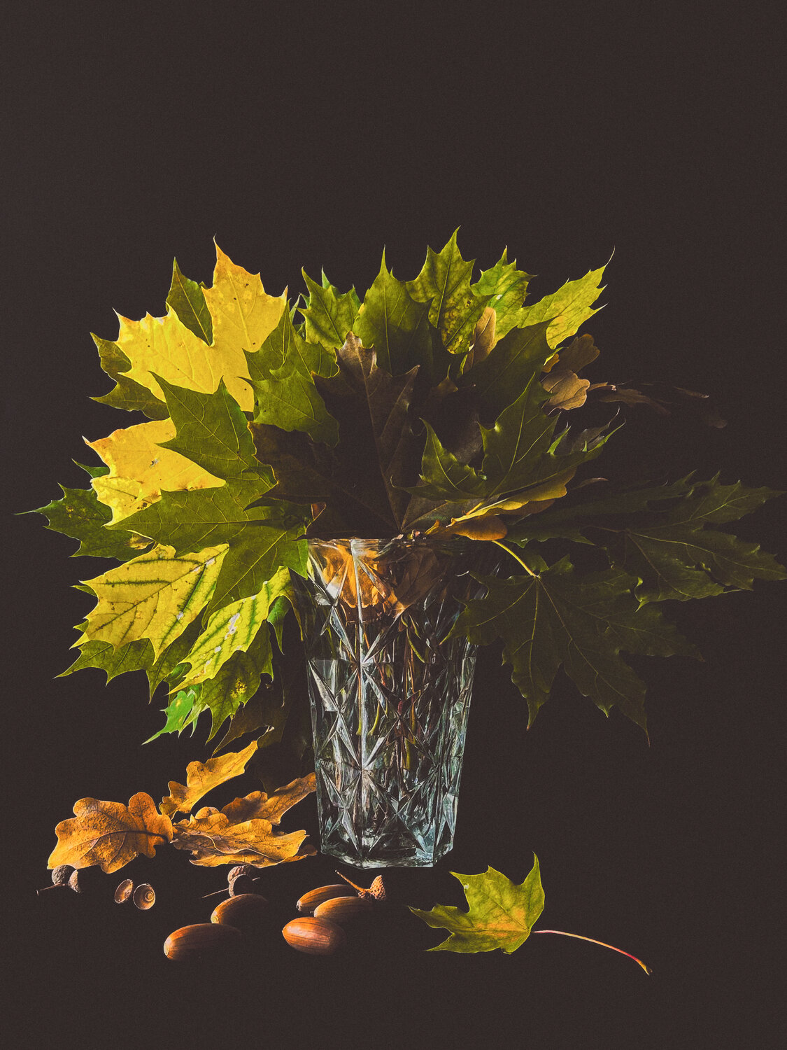 Photo #14110373