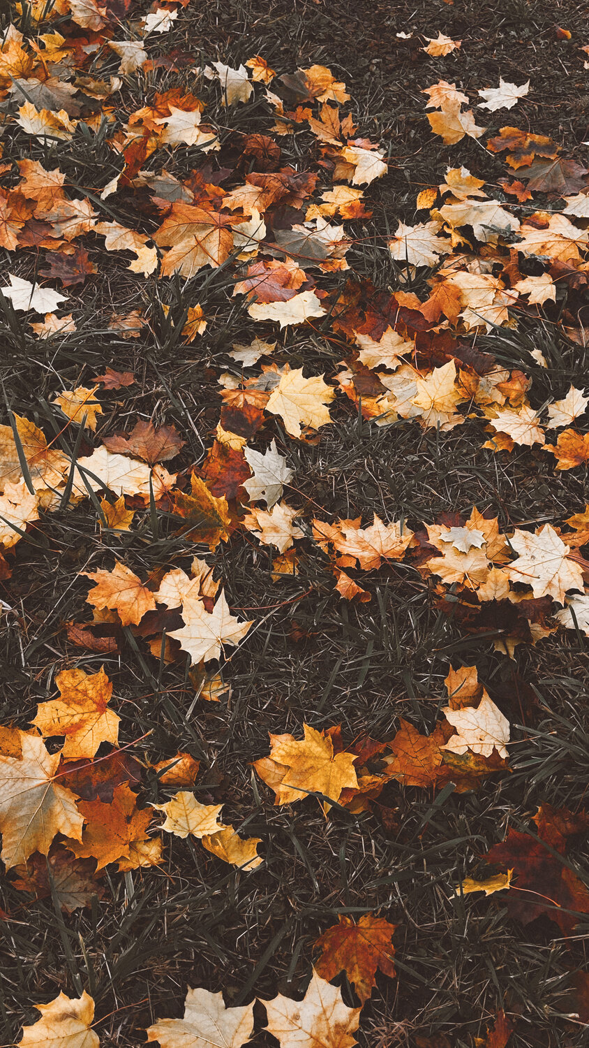 Photo #14110374
