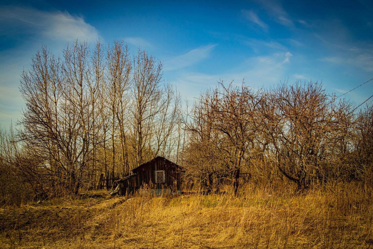 Photo #14110382