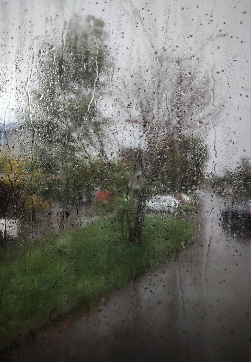 Photo #14110396