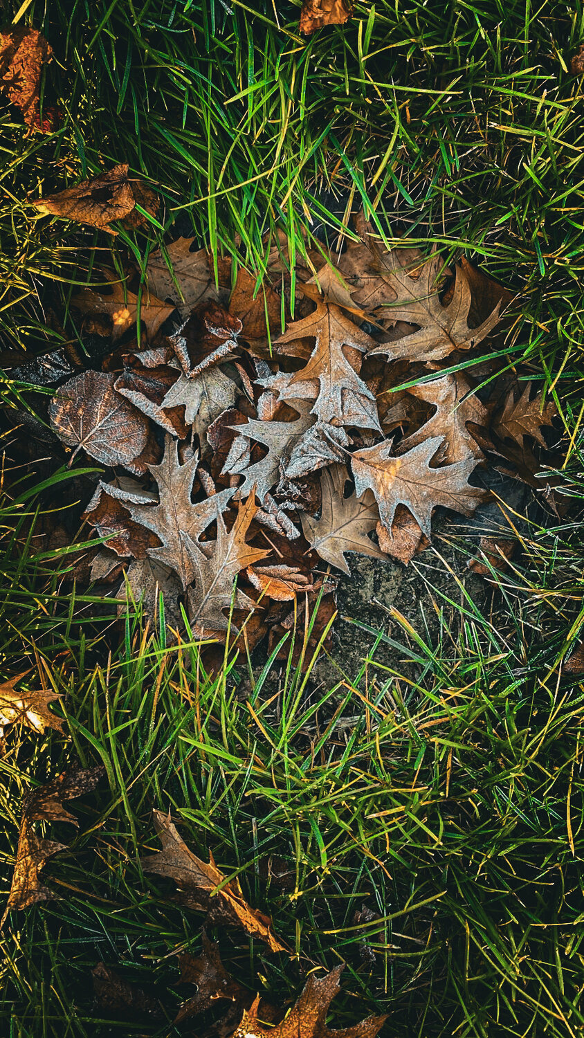 Photo #14110401