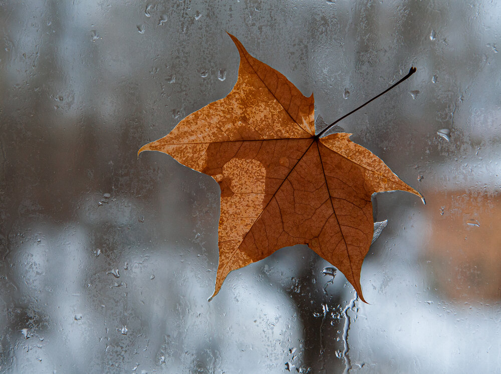 Photograph by Антон Селезнев