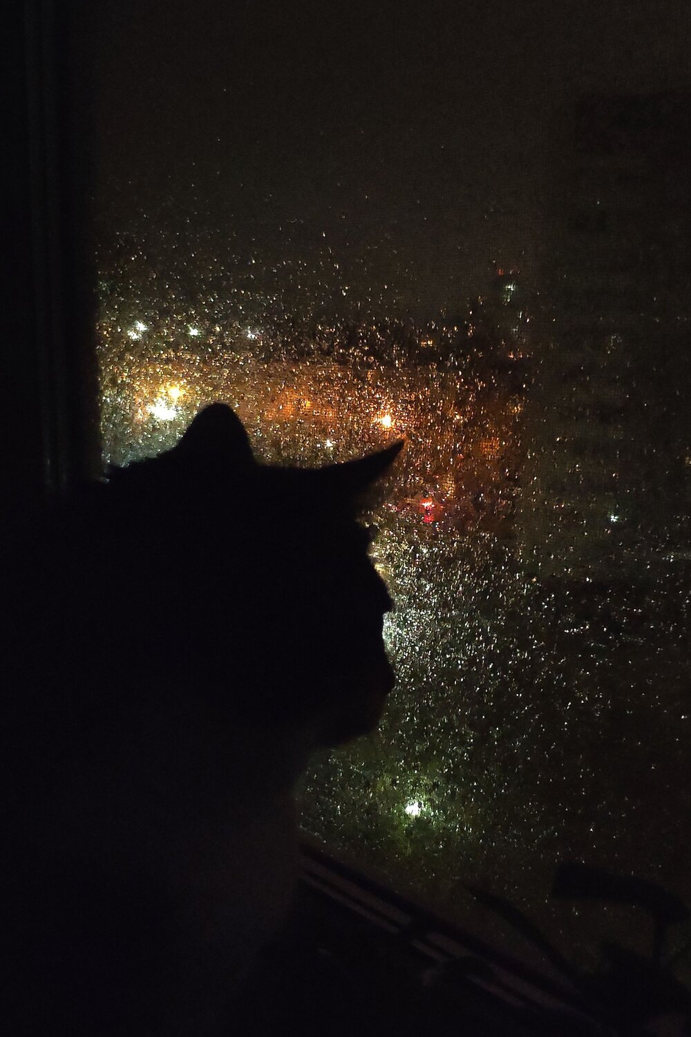 Photo #14110544