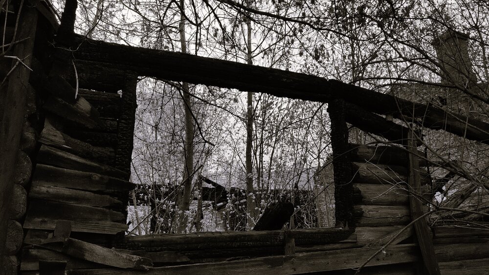 Photograph by Ольга Никулина