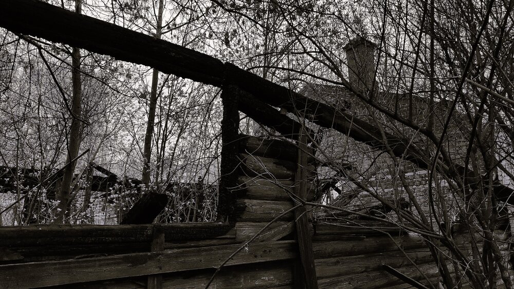 Photograph by Ольга Никулина