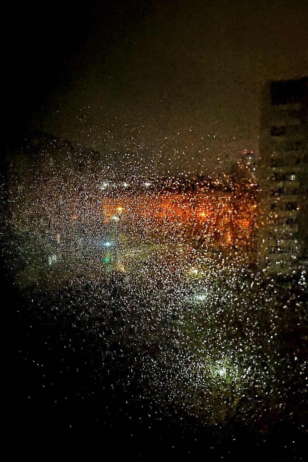 Photo #14110584