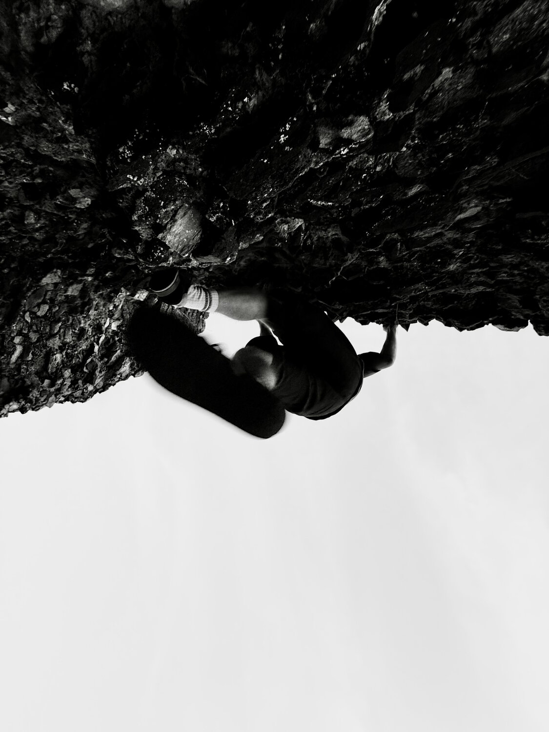 Photo #14110586