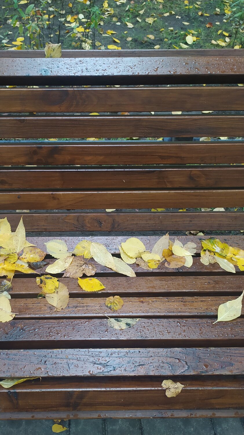 Photo #14110728
