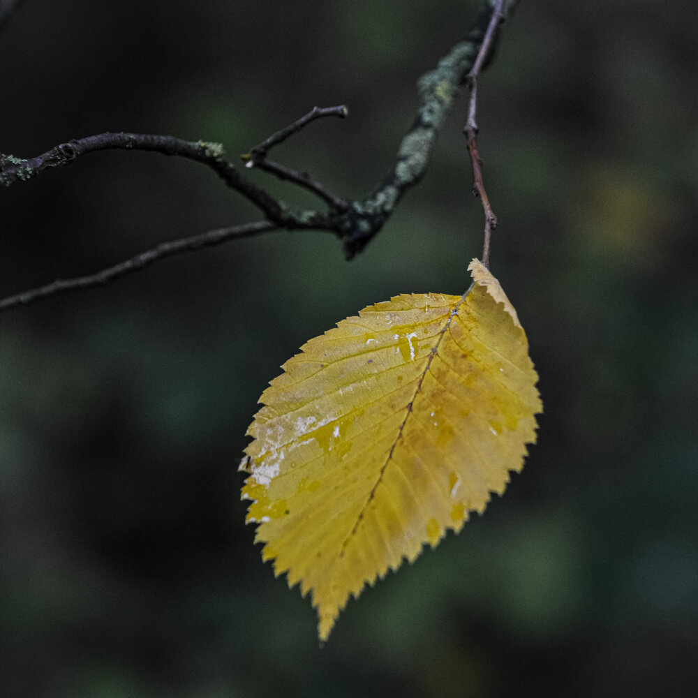 Photograph by Валерий Верещако
