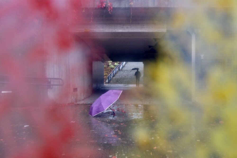 Get your umbrellas ready