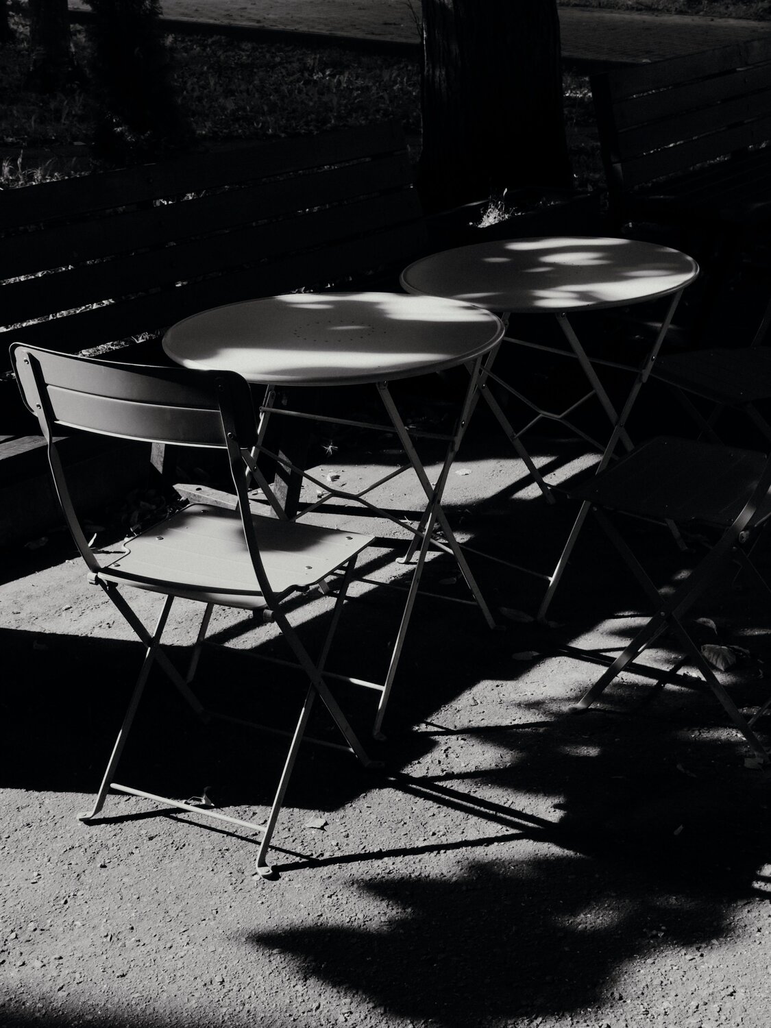 Photo #14110792