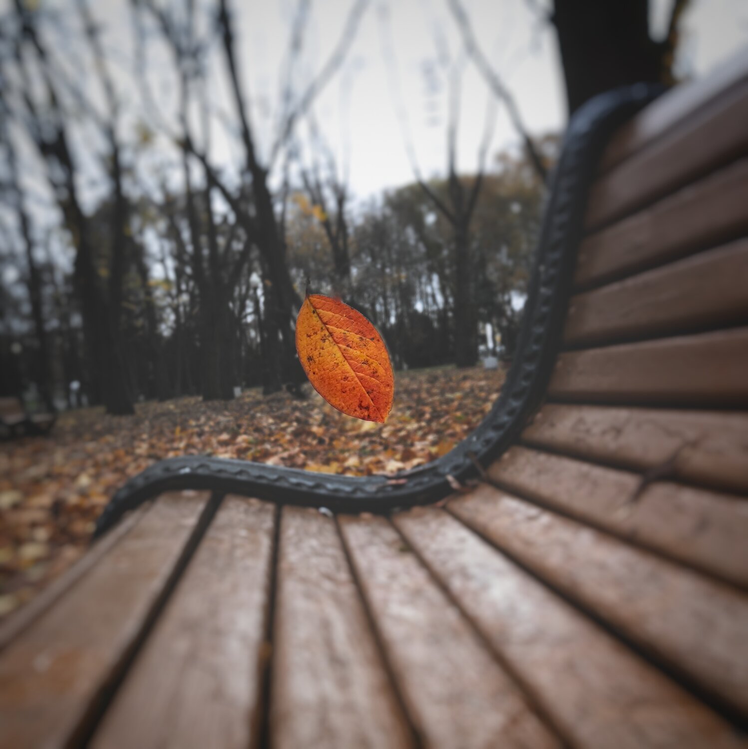 Фотография #14110880
