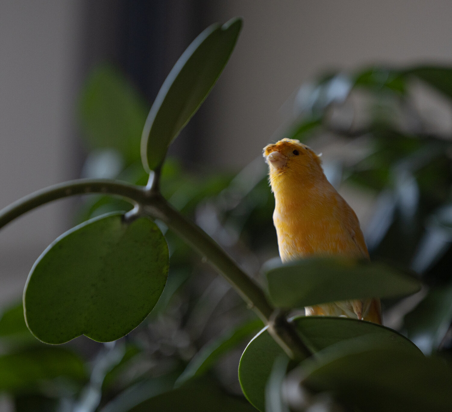 Photo #14110883