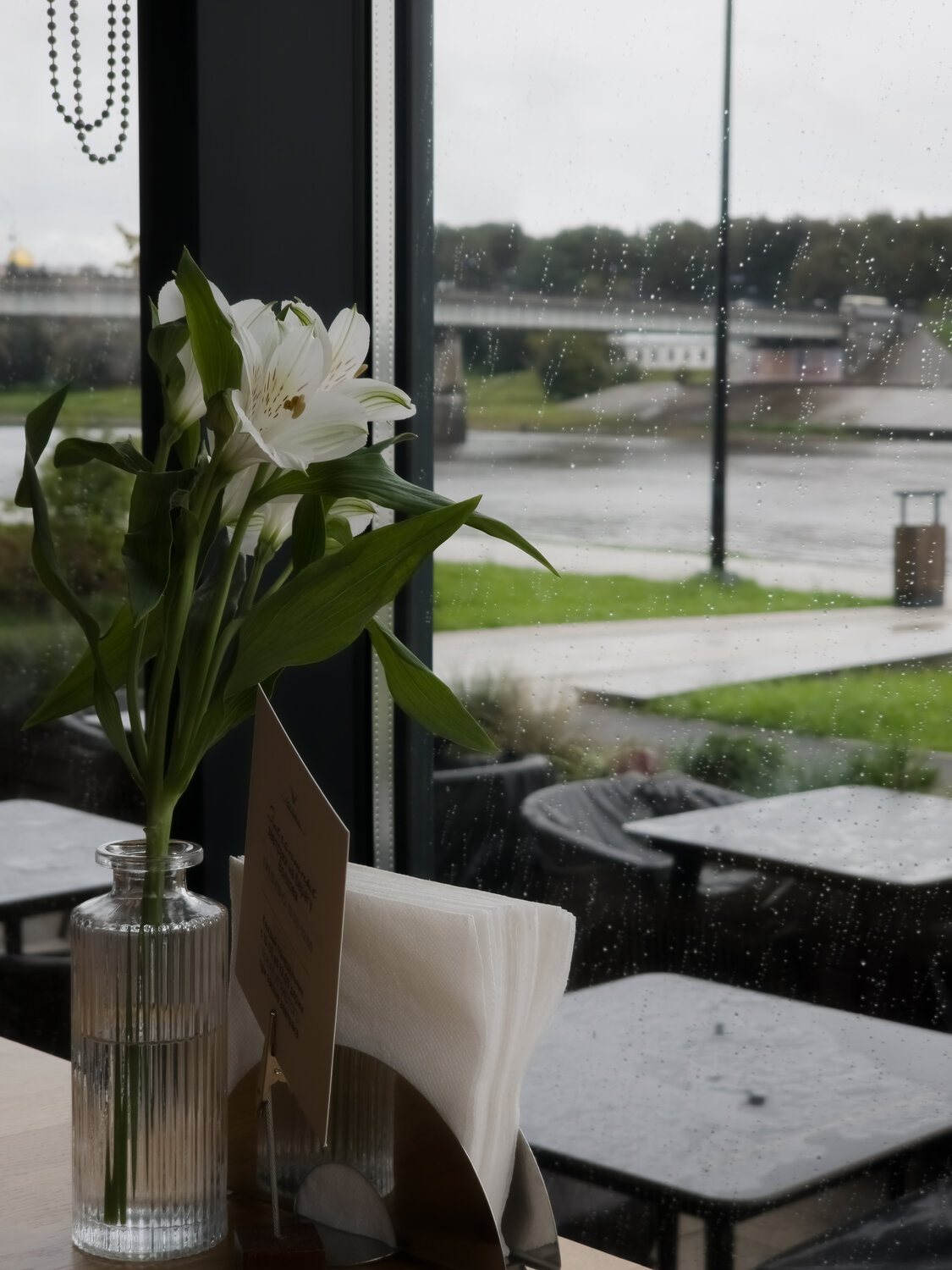 Photo #14110933