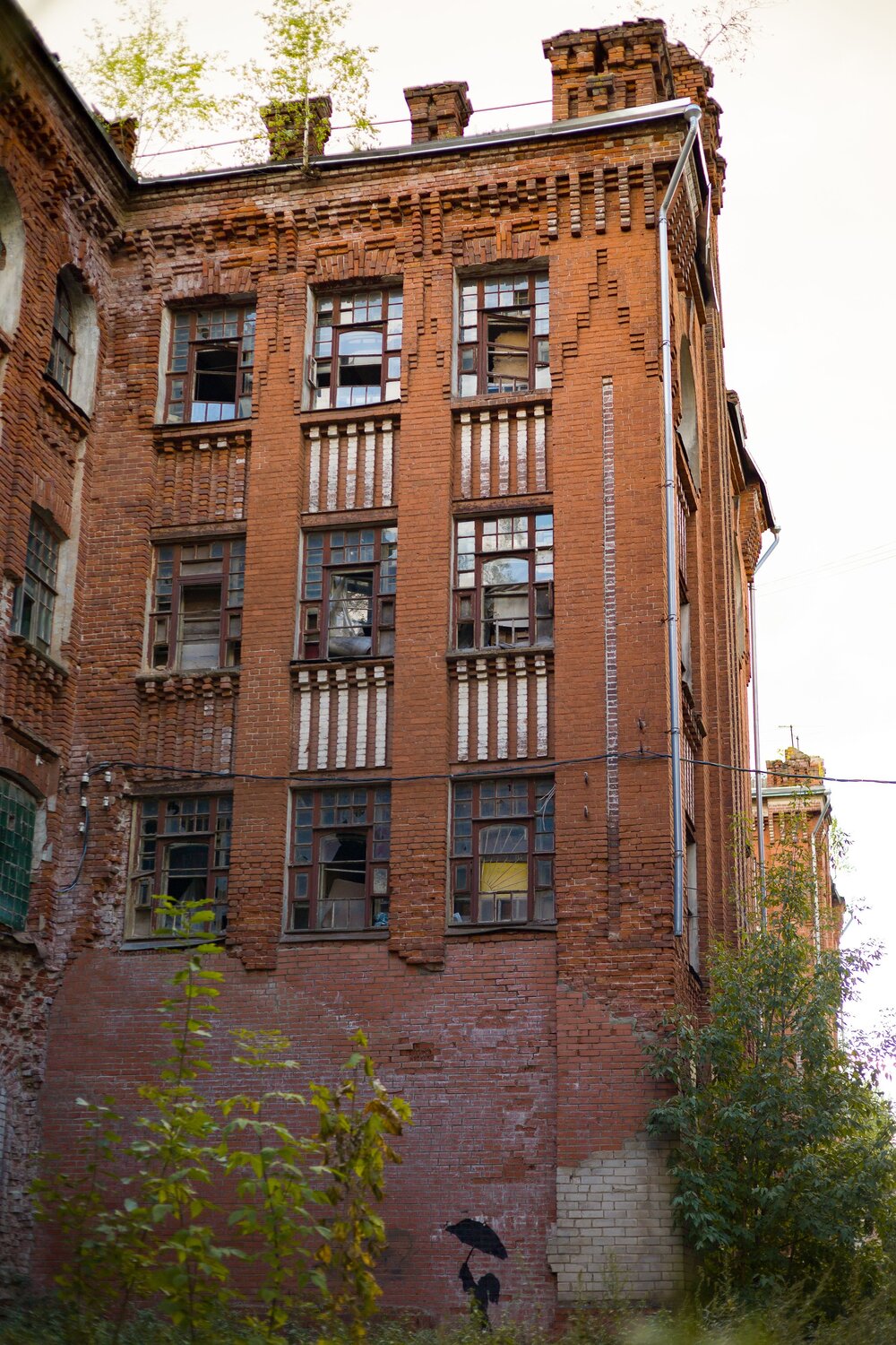 Photo #14110942