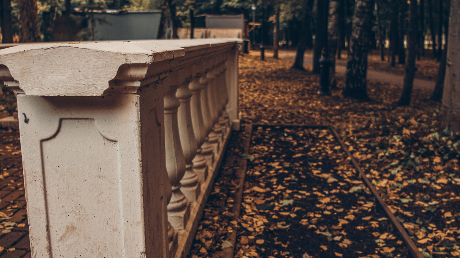 Photo #14110957