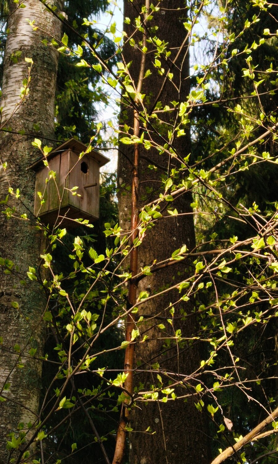 Photo #14110978