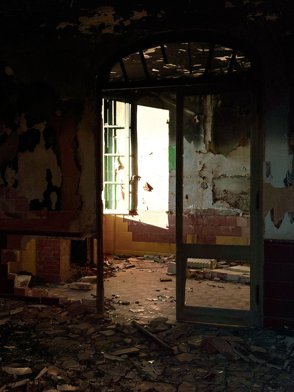 Photo #14111058