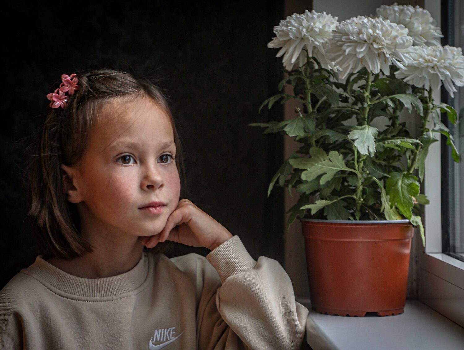 Photo #14111062