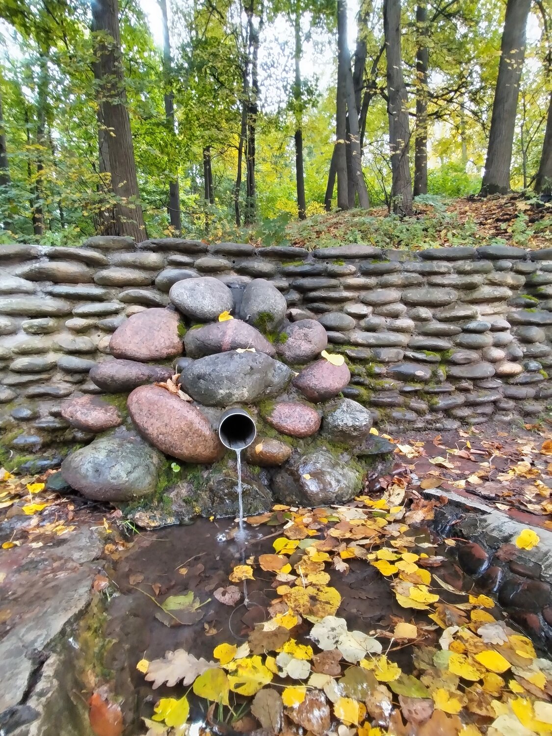 Каменная кладка, золотой листопад...