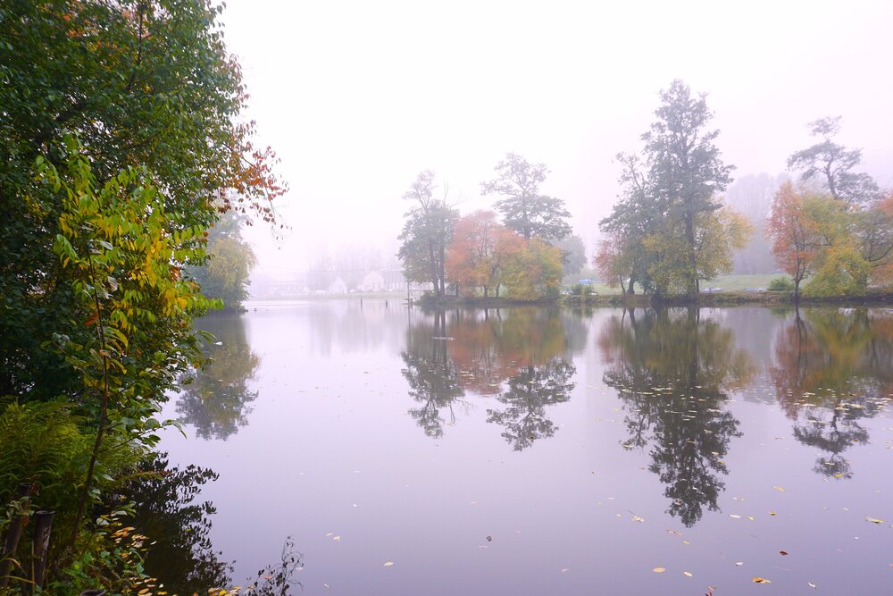 Photograph by Елена Викторовна