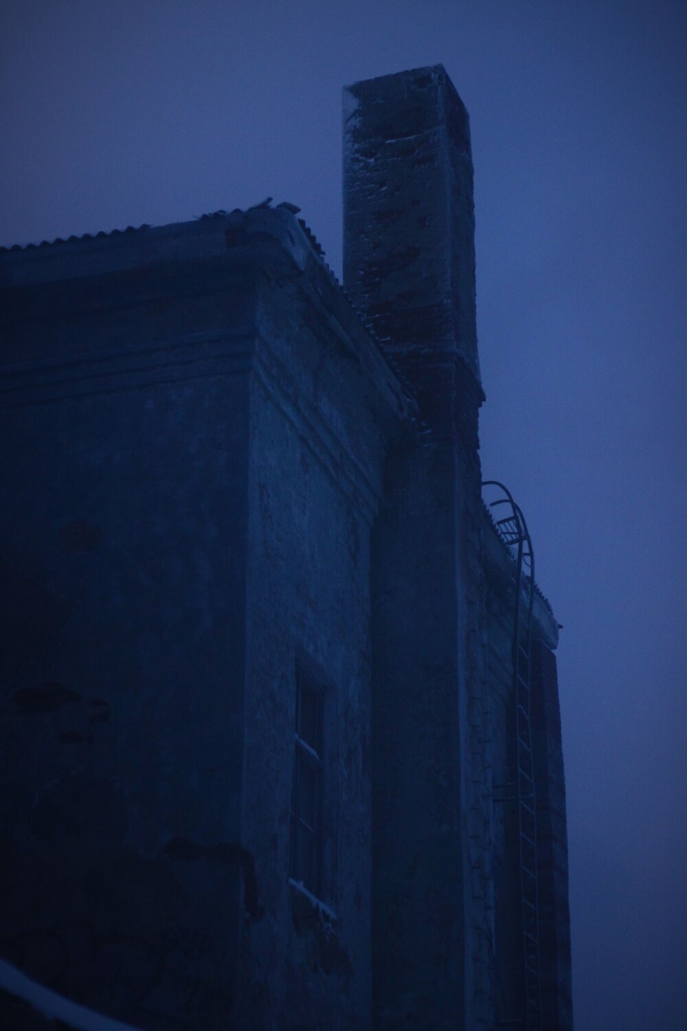 Photo #14111192