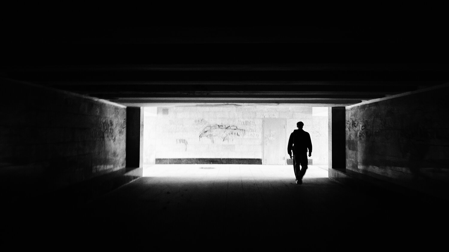 Photo #14111234