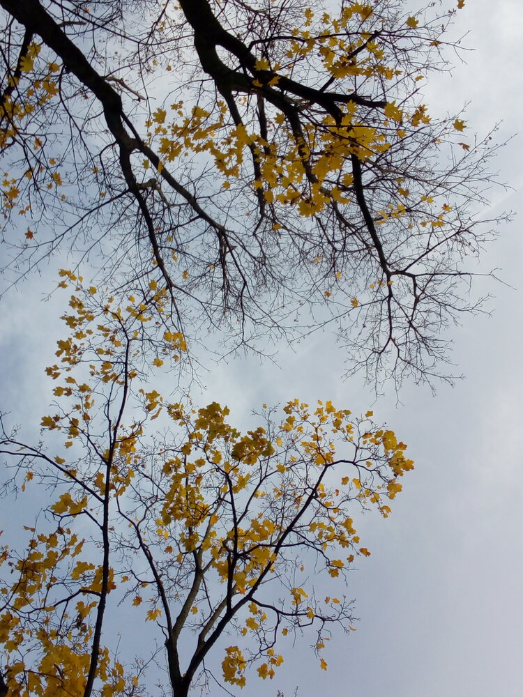 Photo #14111273