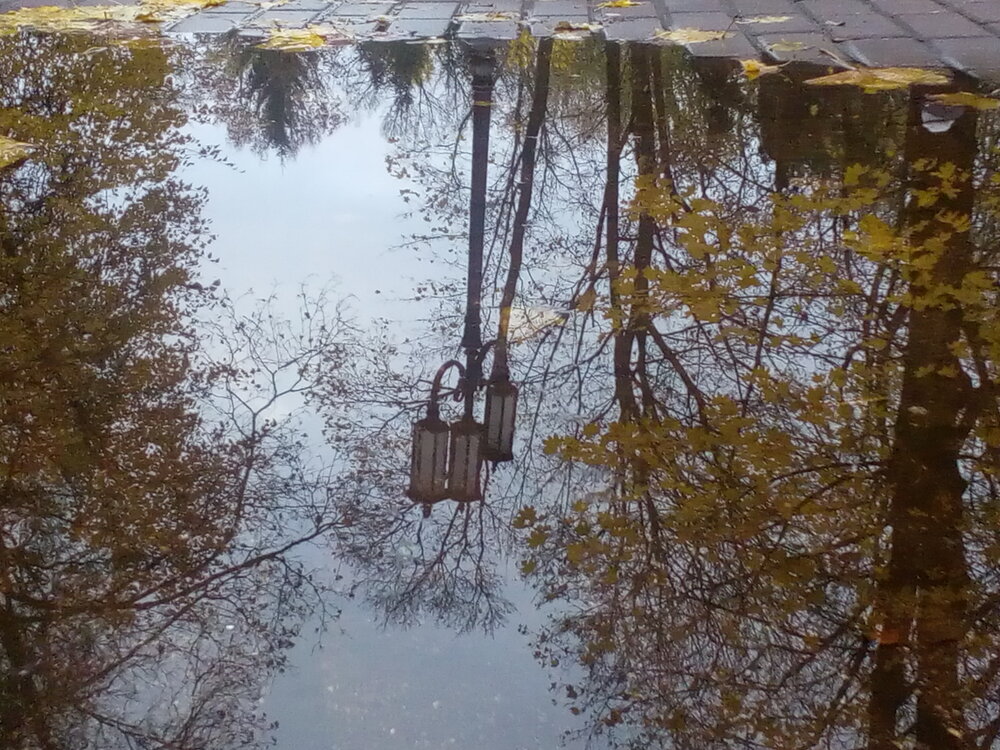 Photo #14111289
