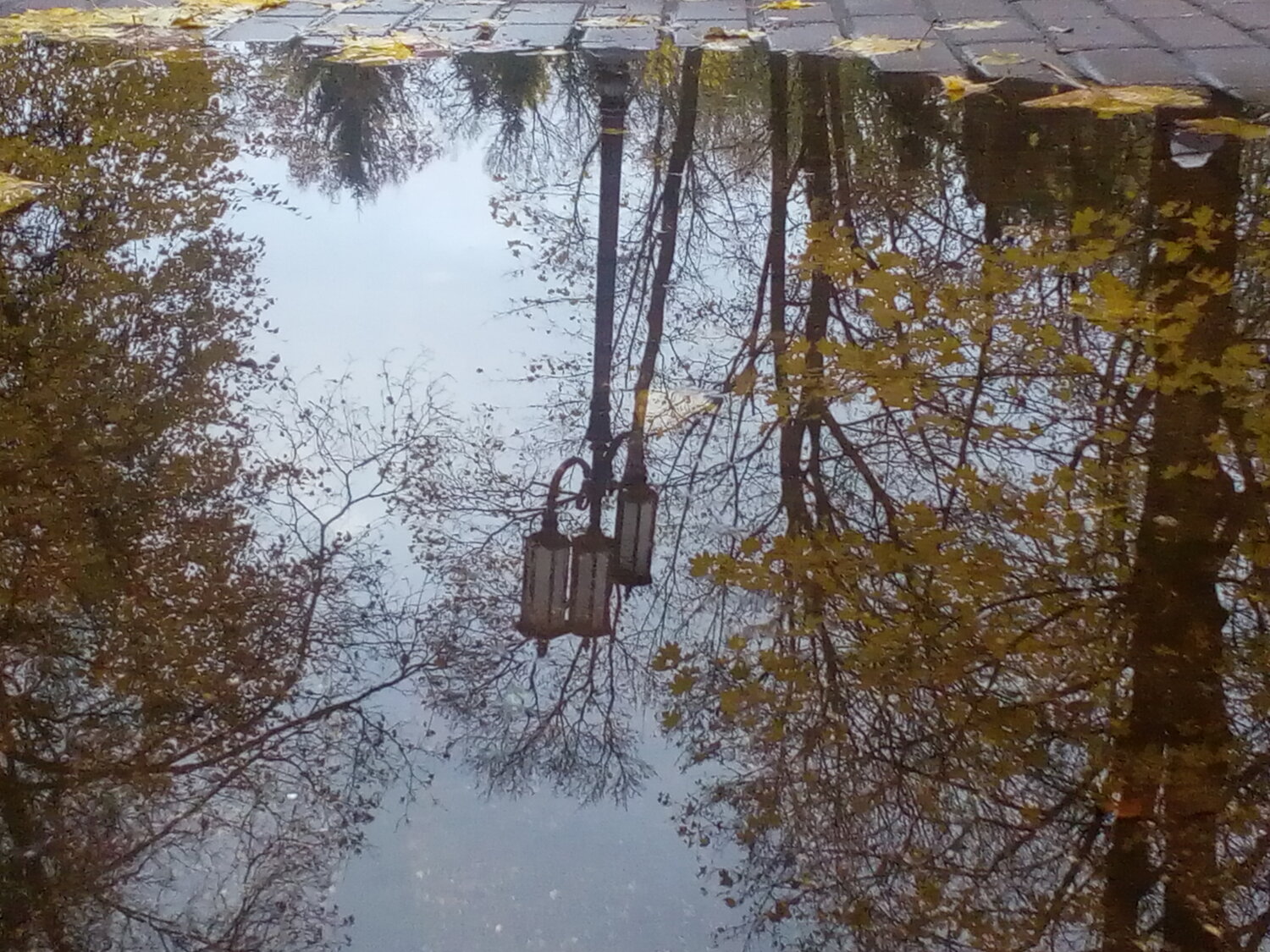 Photo #14111289