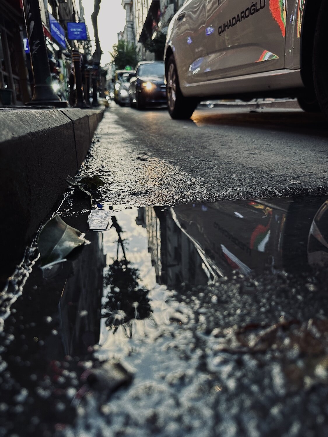 Photo #14111451