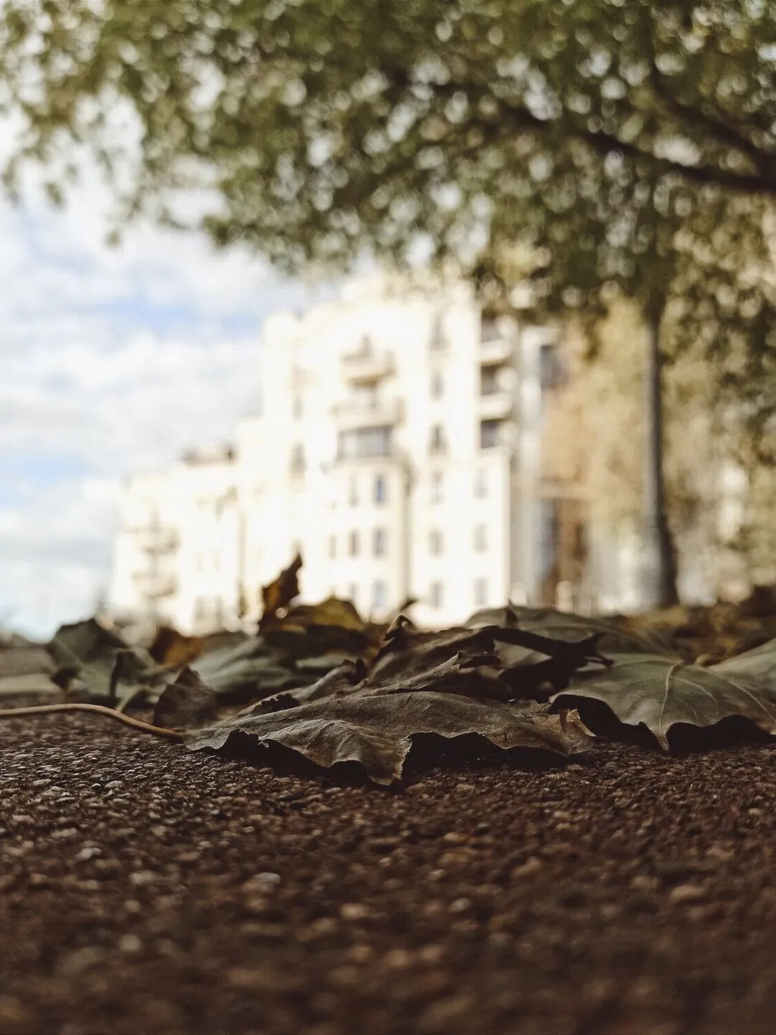 Photo #14111504