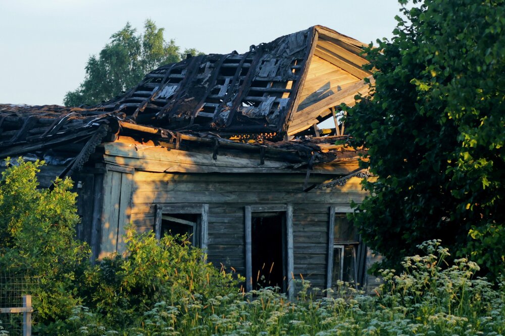 Photograph by Olga Golubkova