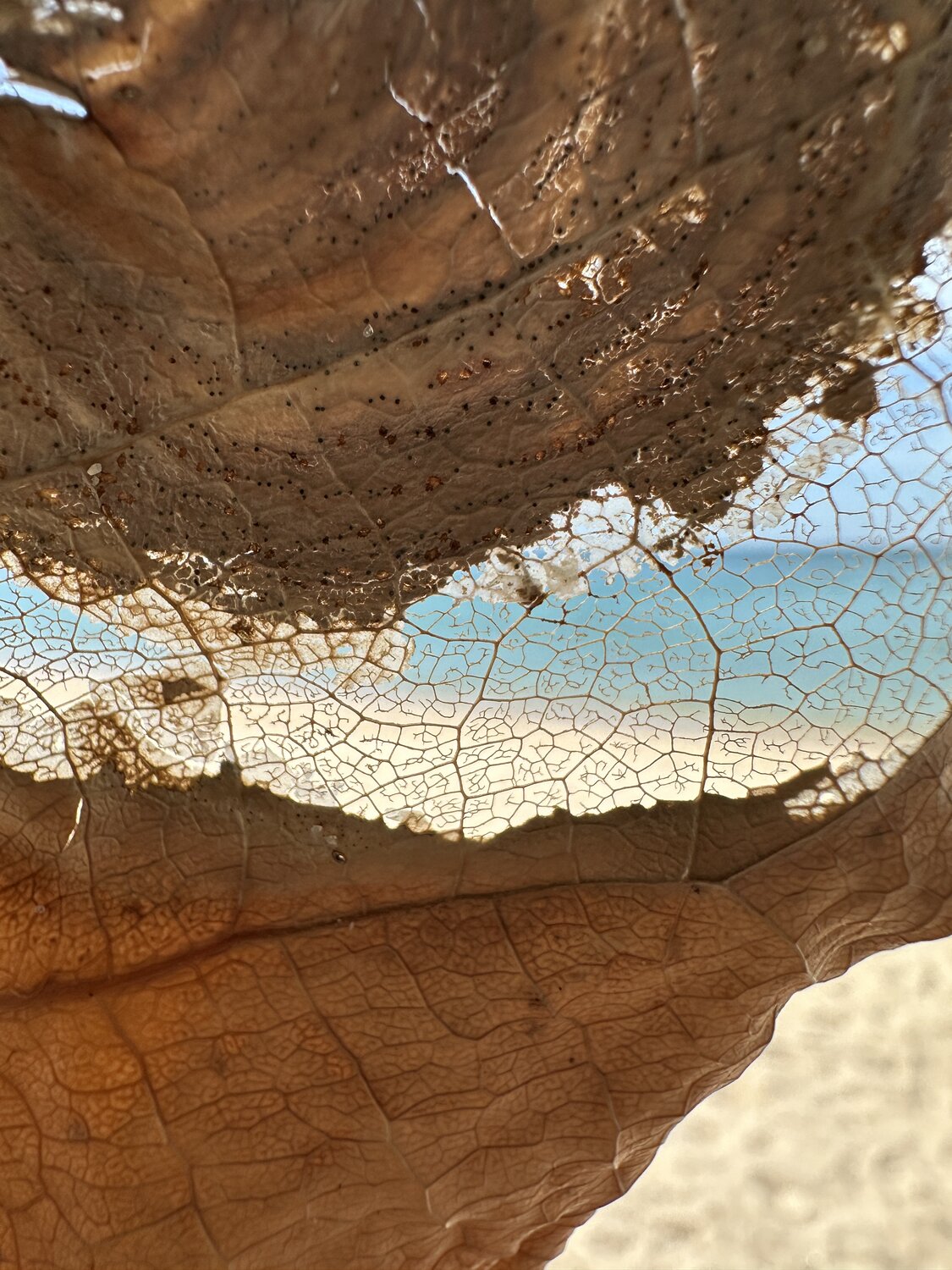 Photo #14111540