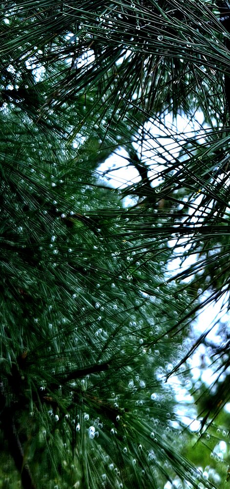 Photograph by Aly
