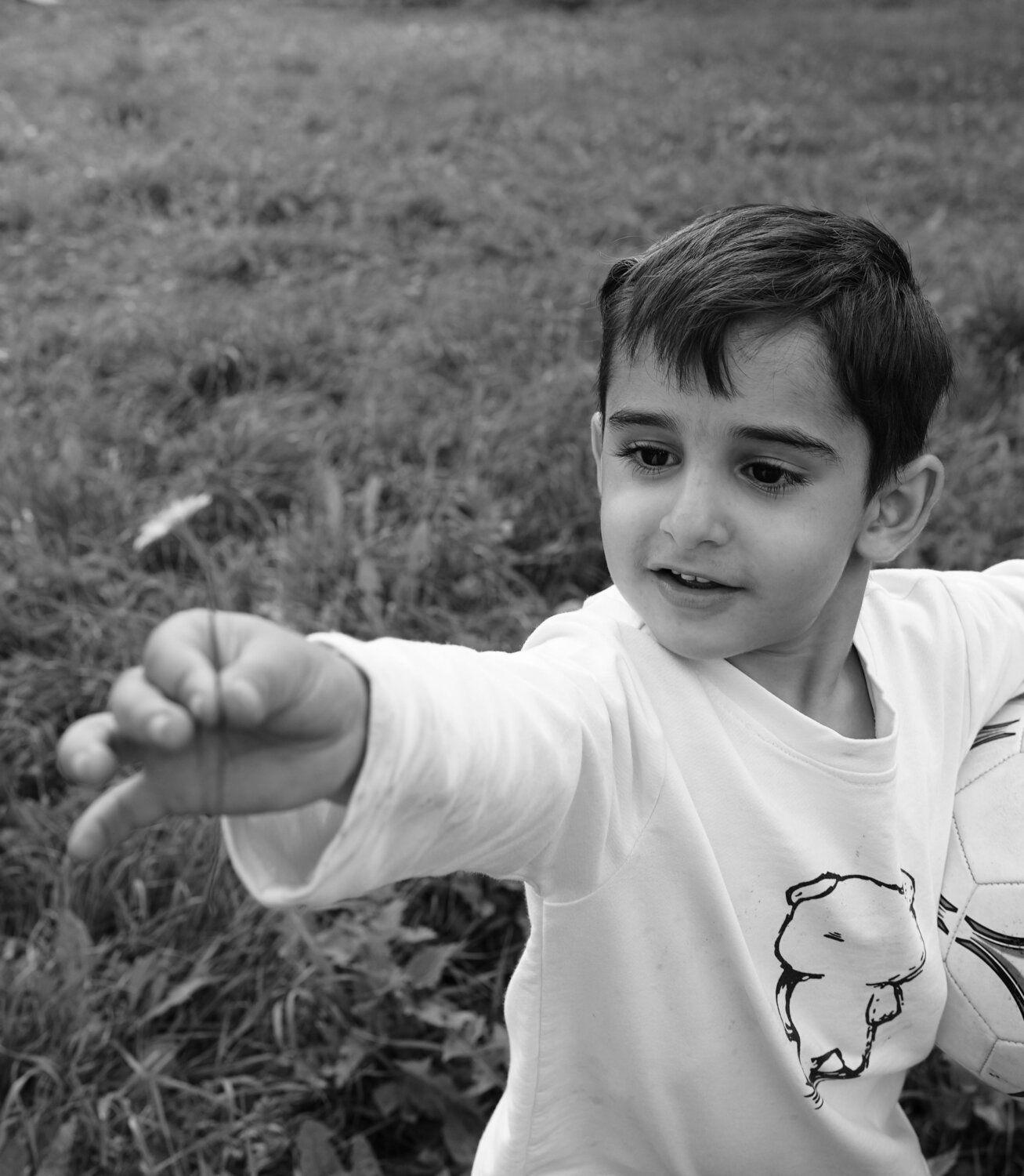 Photo #14111592