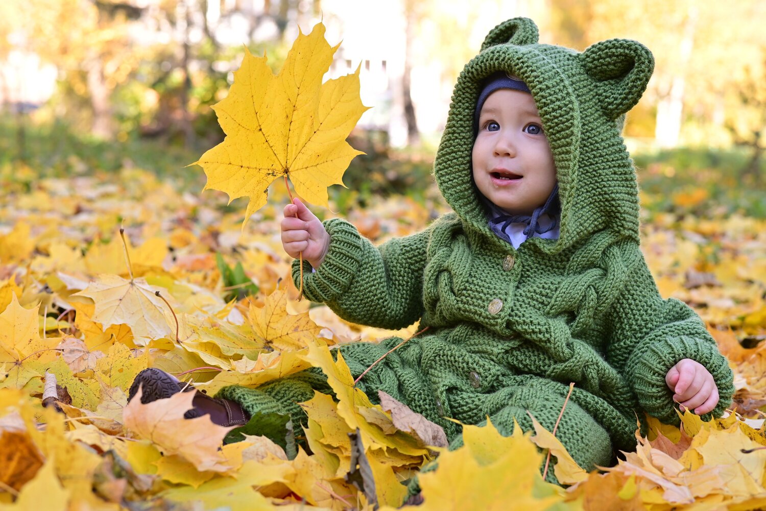 Photo #14111600