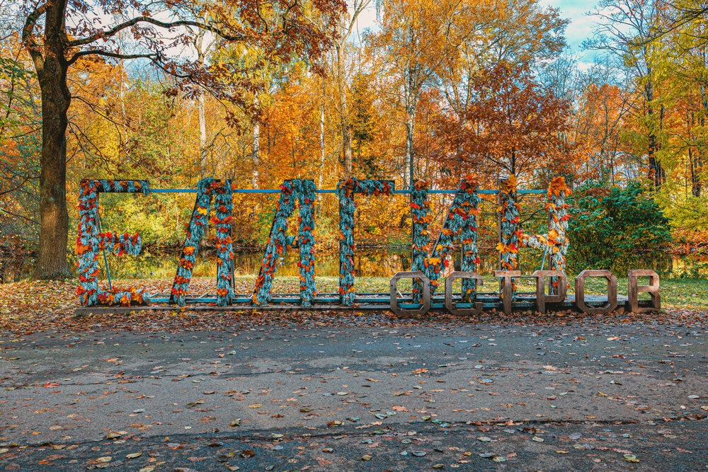 Photograph by Алексей Волков